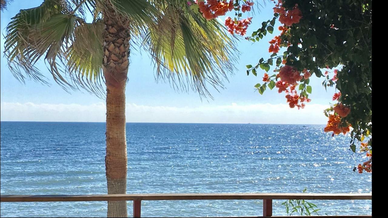 Mi Capricho C16 Beachfront Apartment Sitio de Calahonda エクステリア 写真